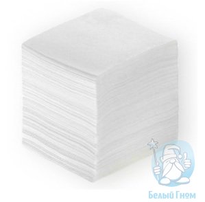 Туалетная бумага в Листах целлюлоза (белый) 2-сл. 250листов,10х21см.*40